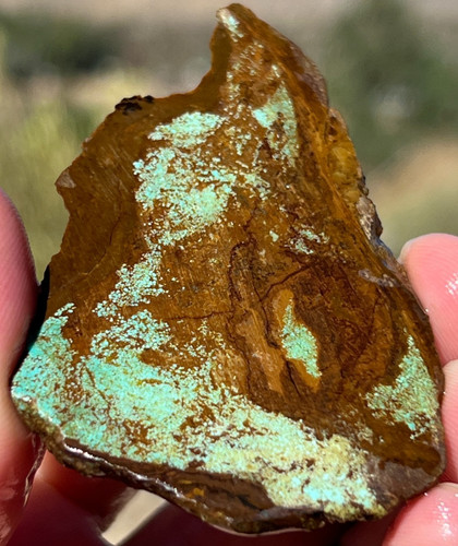 Old authentic nevada green - #8,