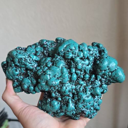 Spiderweb turquoise - 3.7,